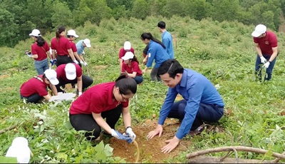 Yên Bái: Yên Bình quan tâm bảo vệ môi trường